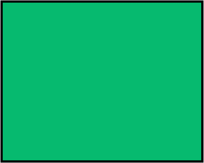 Green Rectangle Fraction 1:1