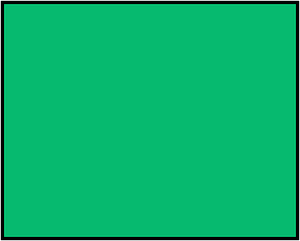 Green Rectangle Fraction 1:1