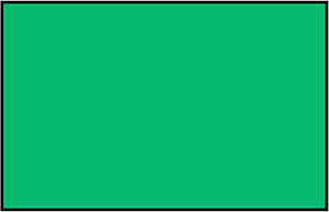 Green Rectangle Fraction 1:1