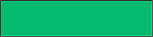 Green Rectangle Fraction 1:1