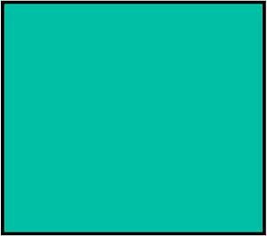 Teal-Green Rectangle Fraction 1:1
