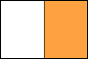 Orange Rectangle Fraction 1:2