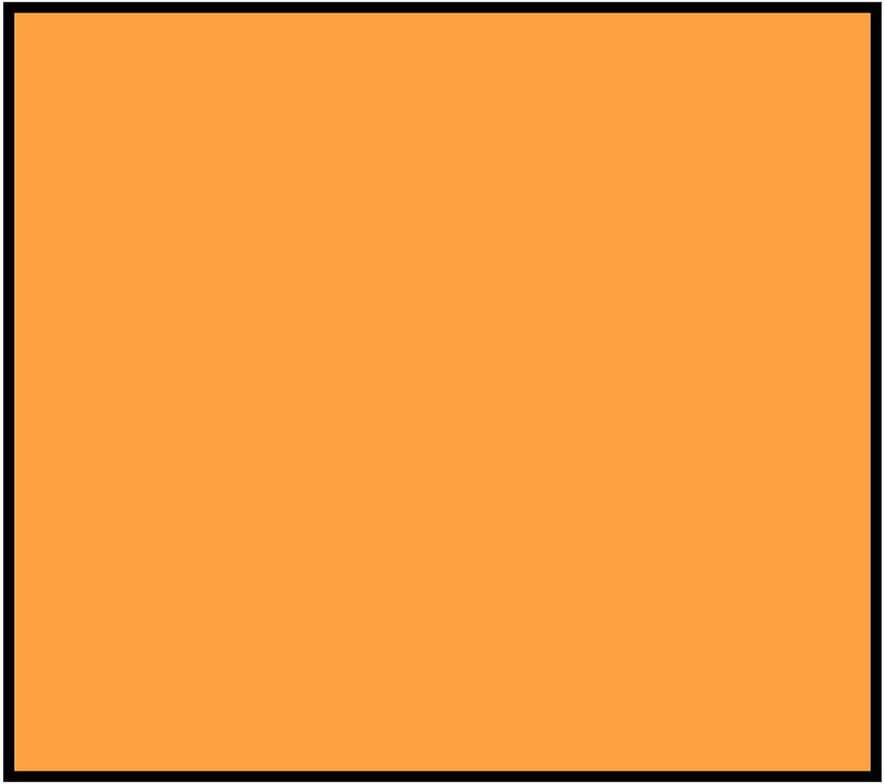 Orange Rectangle Fraction 1:1
