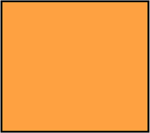 Orange Rectangle Fraction 1:1