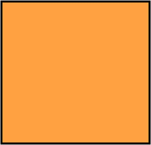 Orange Rectangle Fraction 1:1