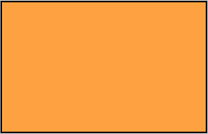 Orange Rectangle Fraction 1:1