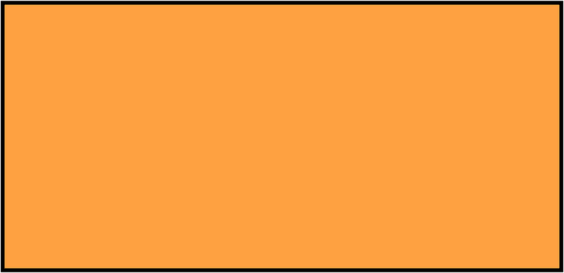 Orange Rectangle Fraction 1:1