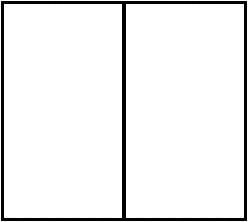 White Rectangle Fraction 2:2