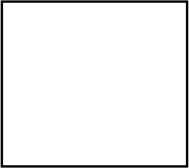 White Rectangle Fraction 1:1