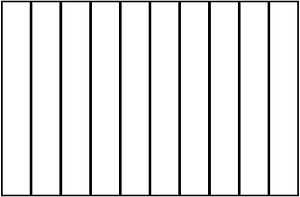 White Rectangle Fraction 10:10