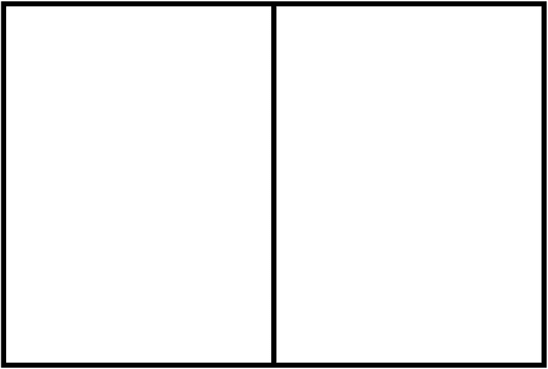 White Rectangle Fraction 2:2