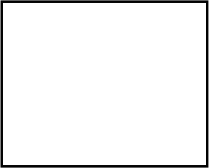 White Rectangle Fraction 1:1