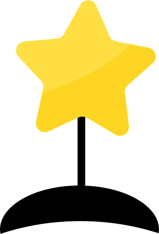 Hat with Christmas star