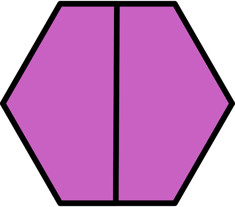 Magenta Hexagon Fraction 2:2