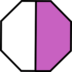 Magenta Octagon Fraction 1:2