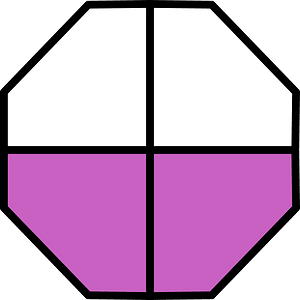 Magenta Octagon Fraction 2:4