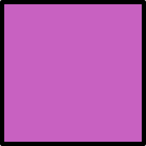 Violet Square Fraction 1:1