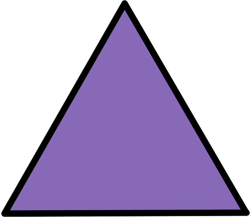 Violet Triangle Fraction 1:1