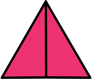 Pink Triangle Fraction 2:2