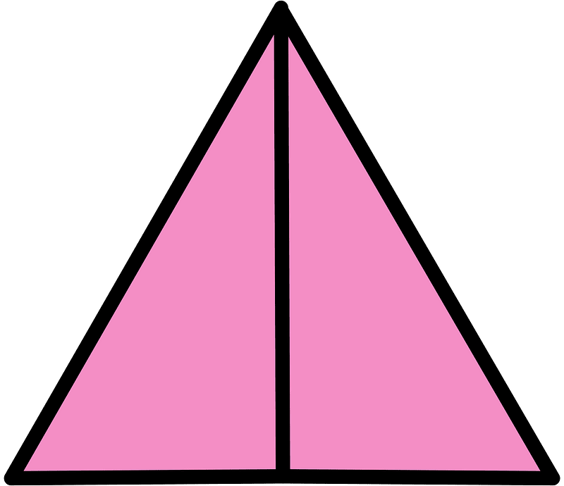 Purple Triangle Fraction 2:2