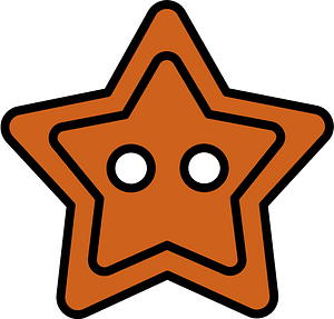 Orange-Brown star-shaped button with two holes