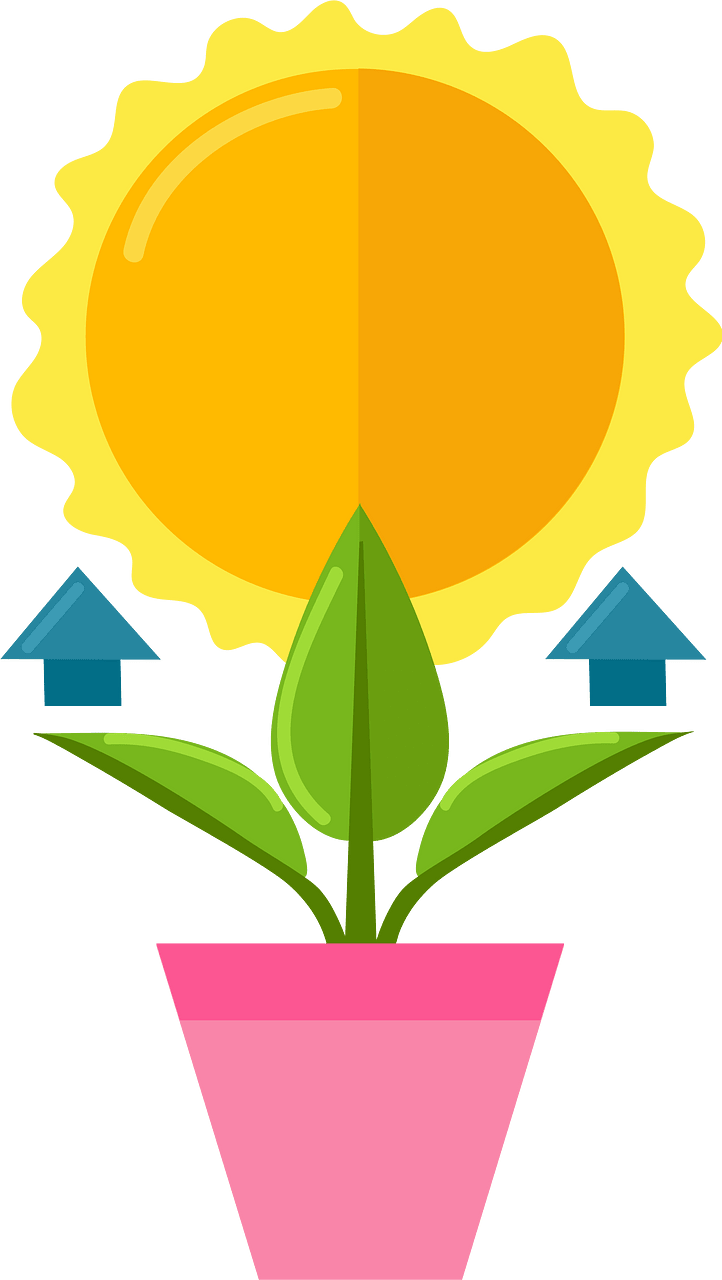 Photosynthesis