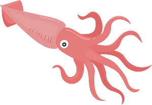 Colossal squid