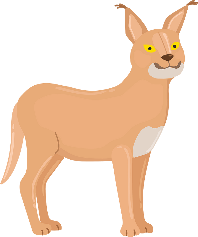 Caracal