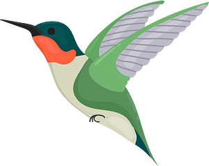 Ruby throated hummingbird