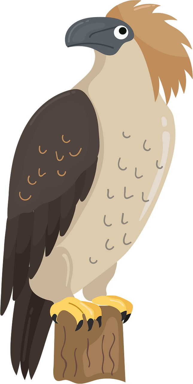 Philippine eagle