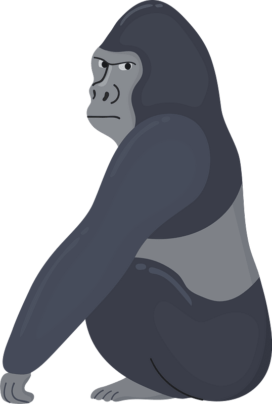Mountain gorilla