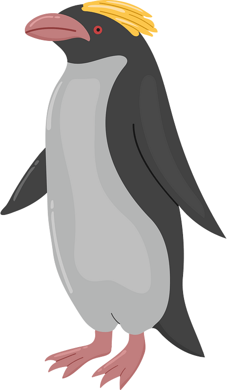 Macaroni penguin