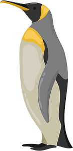 King penguin