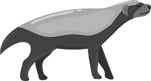 Honey badger