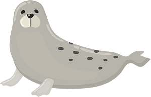 Harp seal