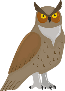 Great horned owl