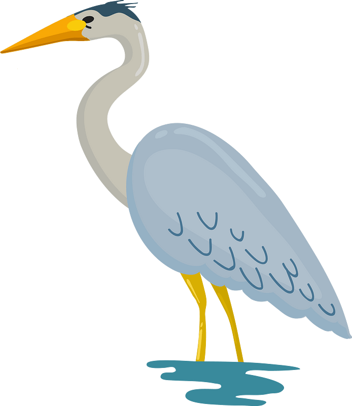 Great blue heron