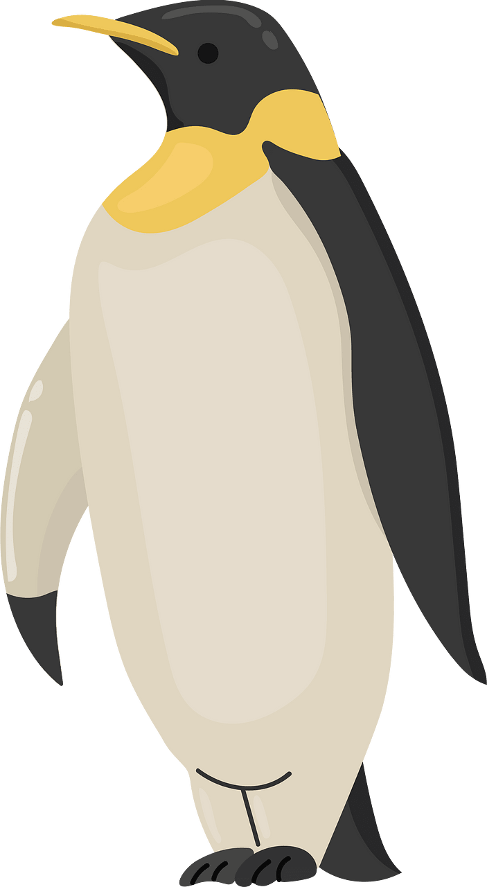 Emperor penguin