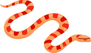 Corn snake - Free vector clipart images on creazilla.com