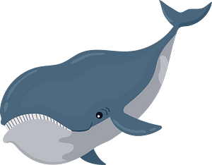 Bowhead whale