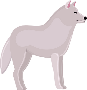 Arctic wolf