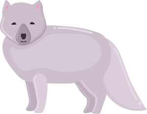 Arctic fox