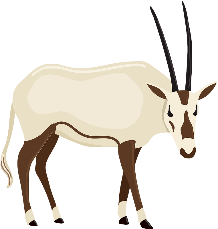 Arabian oryx - Free vector clipart images on creazilla.com