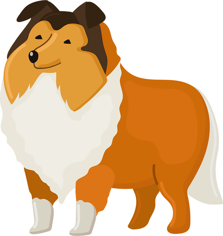 Shetland sheepdog - Free vector clipart images on creazilla.com