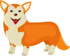 Pembroke welsh corgi