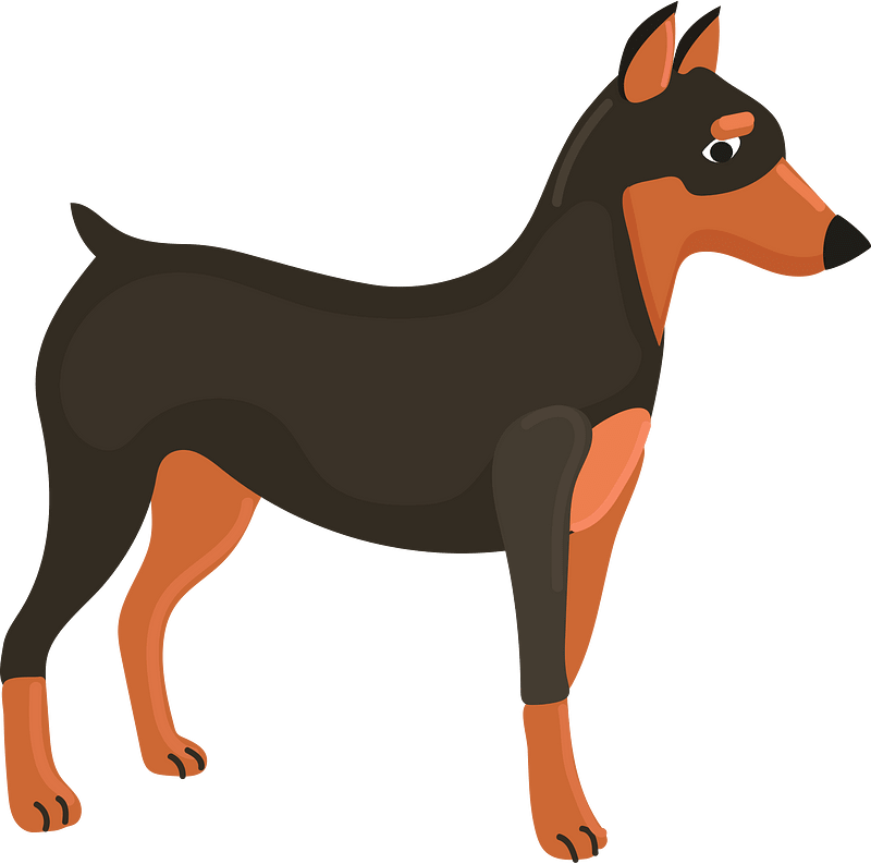 Miniature pinscher