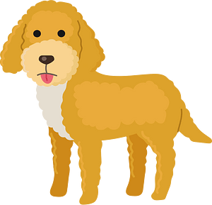 Goldendoodle - Free vector clipart images on creazilla.com