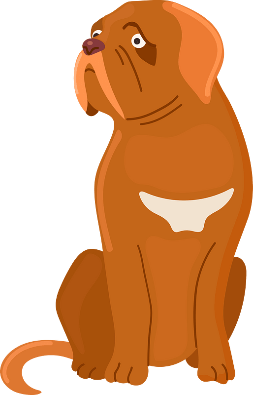 Dogue de bordeaux