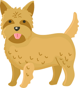 Cairn terrier - Free vector clipart images on creazilla.com