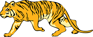 Running tiger